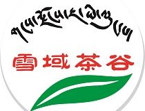 探寻威尼斯官网娱乐，领略奢华与浪漫的交融